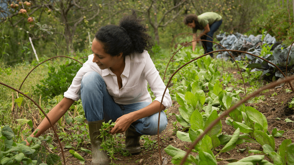 ¡Basta! Working Together to Prevent Sexual Harassment in the Agricultural Workplace