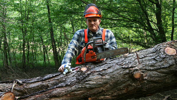 Stress Control Strategies for the Forestry and Timber Workforce