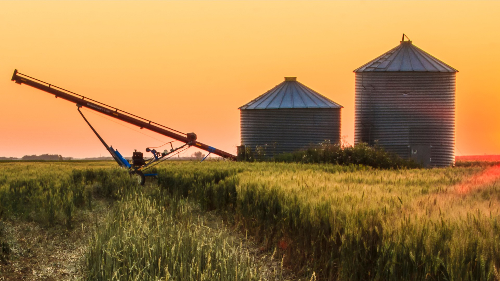 Roundtable Discussion: Grain Bin Safety
