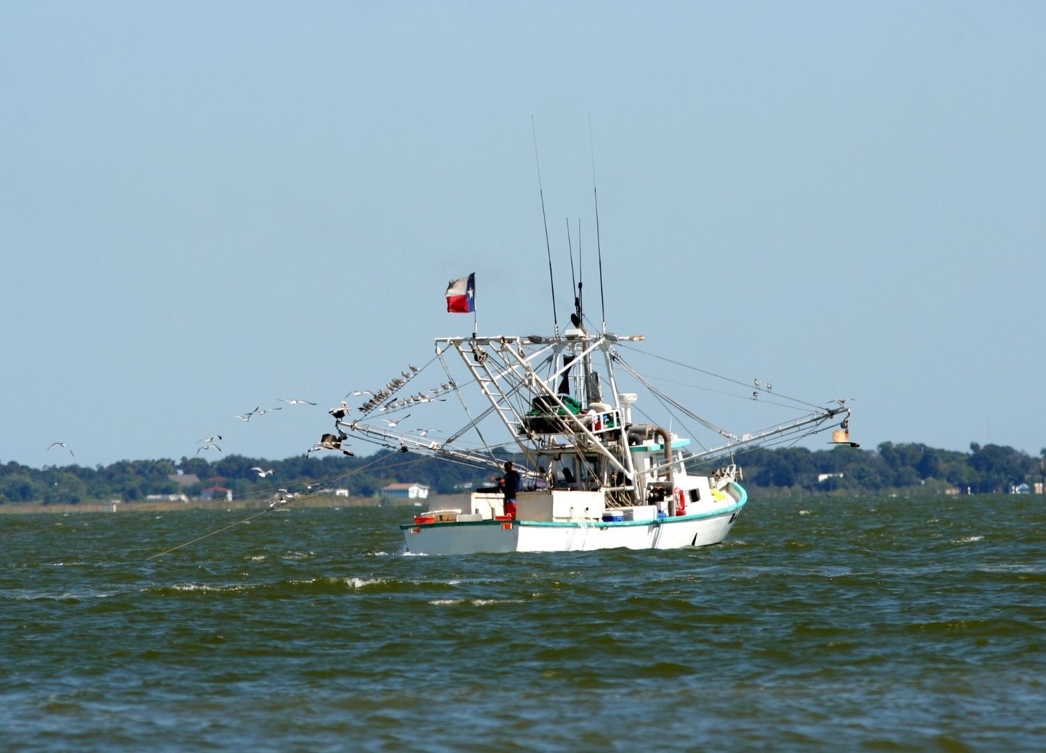 Implementing Community-Led Interventions with Gulf Coast Seafood Workers