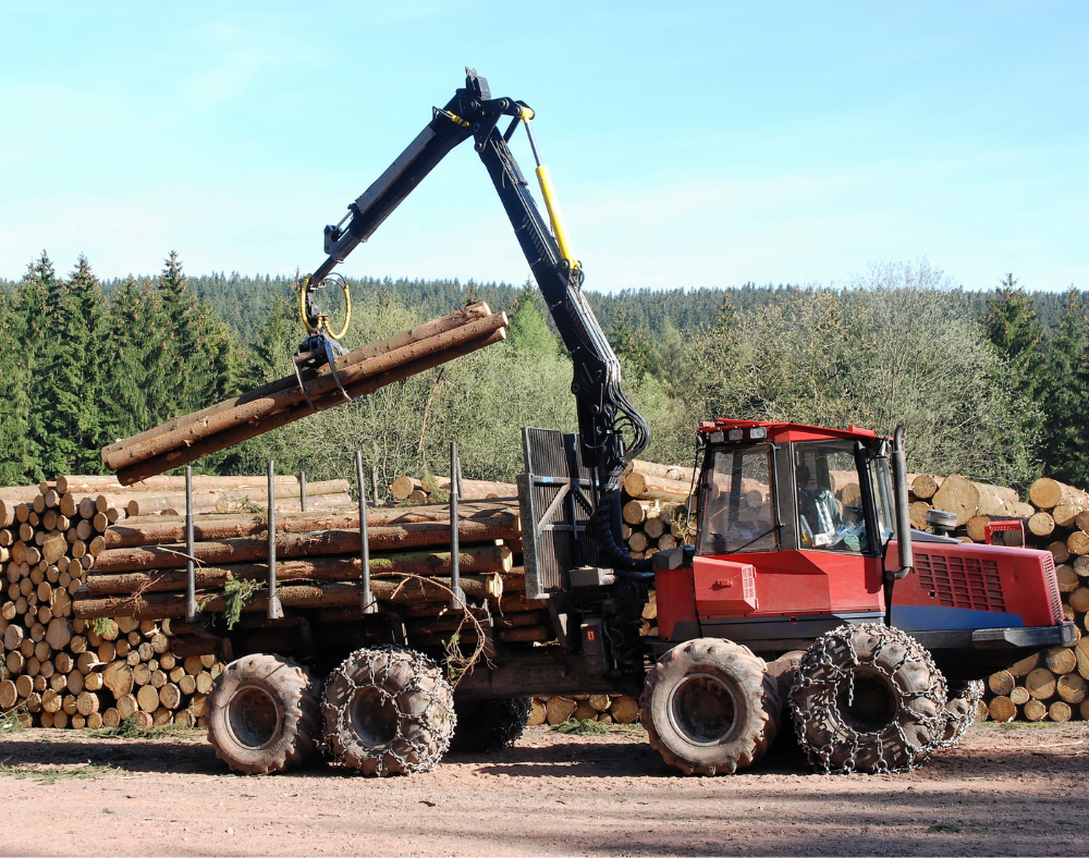 Preventing Workplace Violence for Forestry Workers