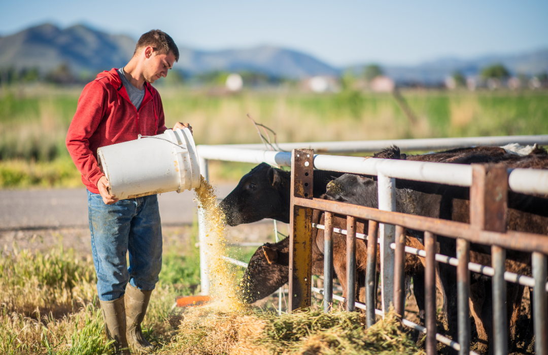 Healthy People and Healthy Animals Make Healthy Farms (Live 7.24.2025)